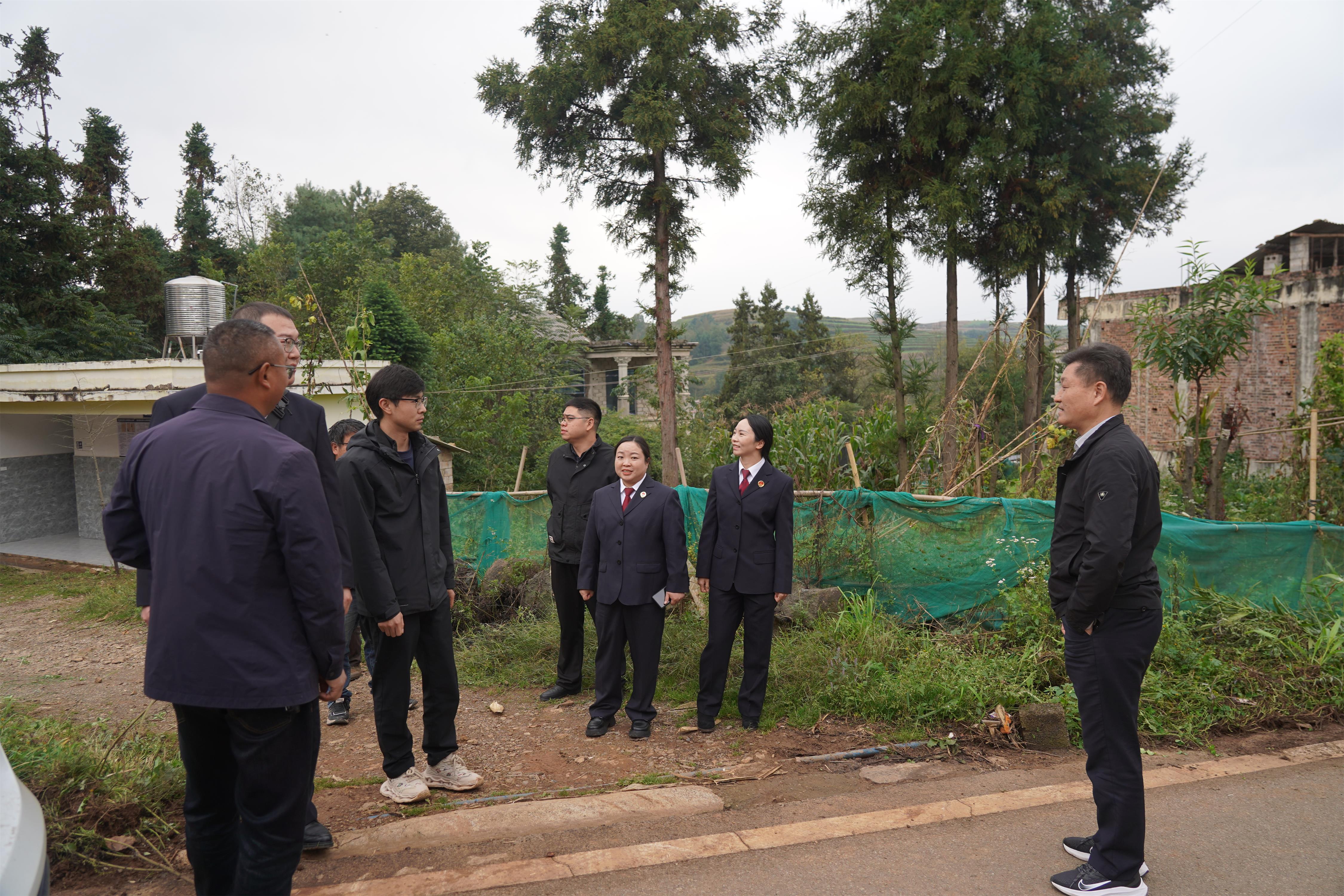 现场检查.JPG